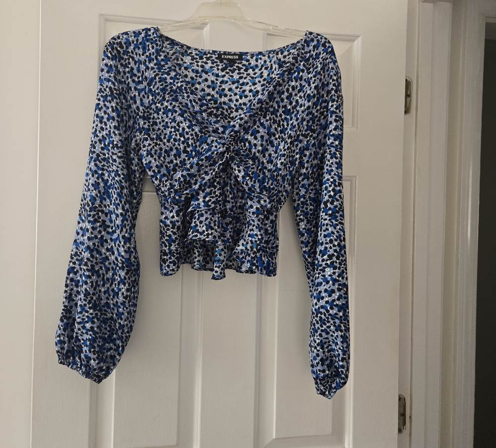 Express Blue and White Floral Blouse